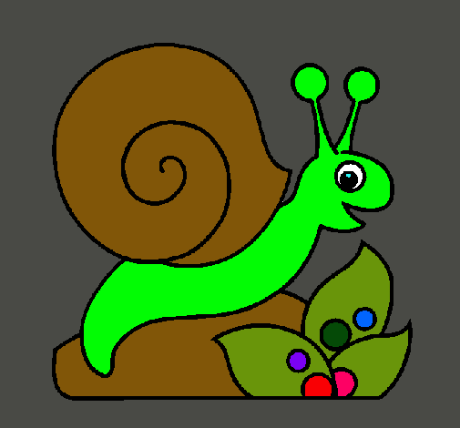 Caracol