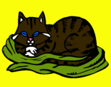 Dibujo Gato en su cama pintado por ECLIPSE