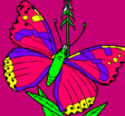 Dibujo Mariposa pintado por ufe5jxey4444