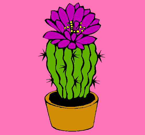 Cactus con flor