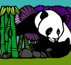 Dibujo Oso panda y bambú pintado por majobella