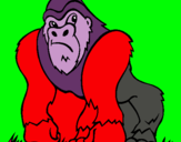 Dibujo Gorila pintado por changooo