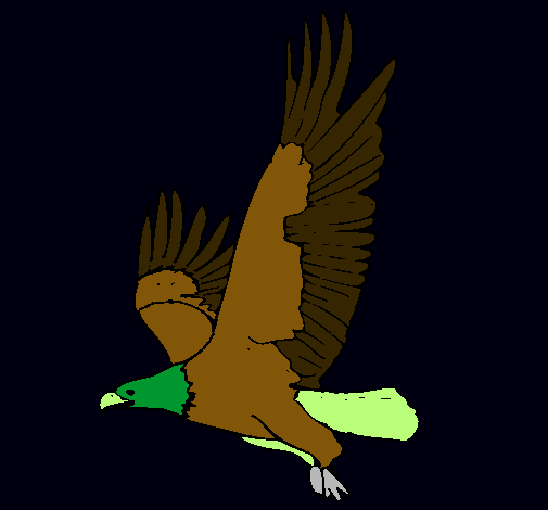 Águila volando