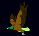 Dibujo Águila volando pintado por clemen