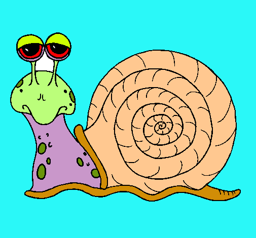 Caracol