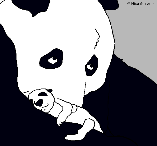 Oso panda con su cria