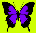 Dibujo Mariposa con alas negras pintado por eriakk