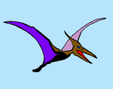 Dibujo Pterodáctilo pintado por gfhguid