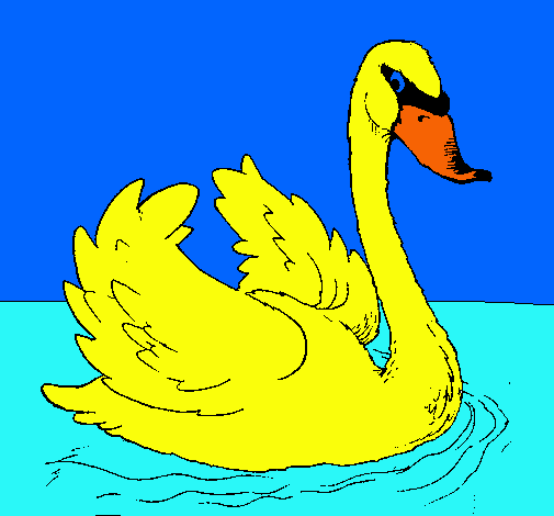 Cisne en el agua