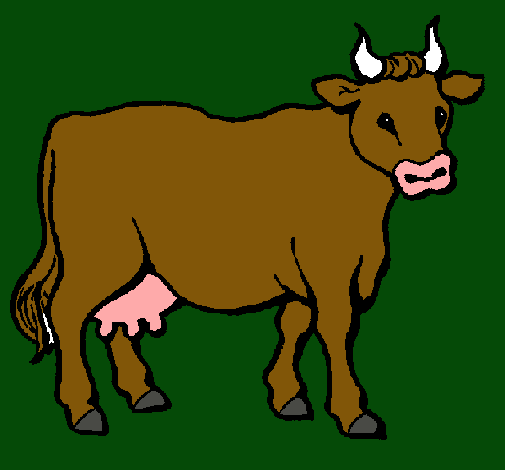 Vaca