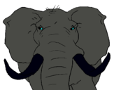 Dibujo Elefante africano pintado por lilipvillega