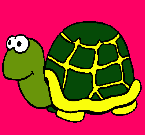 Tortuga