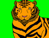 Dibujo Tigre pintado por JAUMEEE