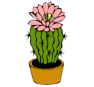 Dibujo Cactus con flor pintado por yemilein