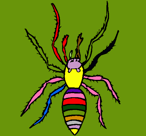 Araña tigre