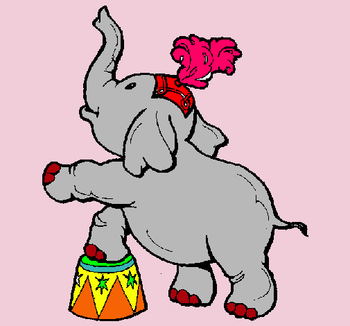 Elefante