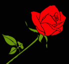 Dibujo Rosa pintado por naomipeque