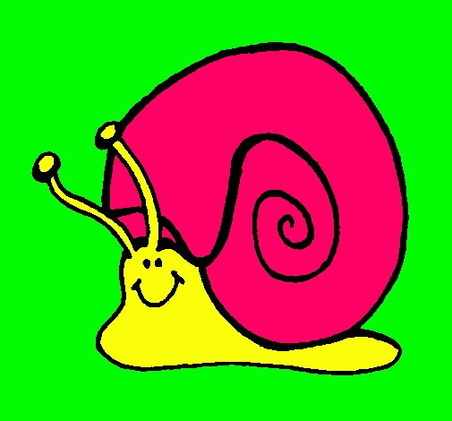 Caracol 