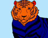 Dibujo Tigre pintado por AndreaGGM