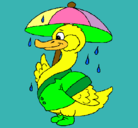 Dibujo Pato bajo la lluvia pintado por pacho