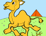 Dibujo Camello pintado por nataj