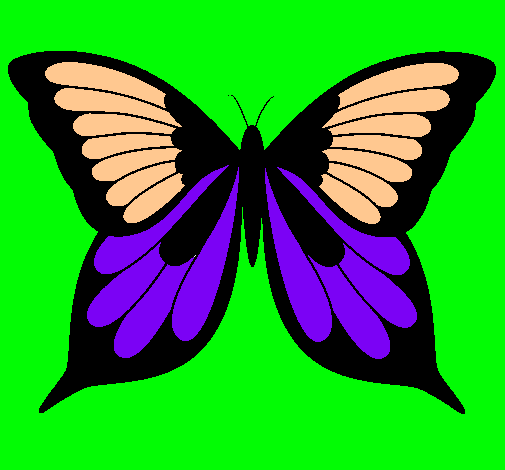 Mariposa