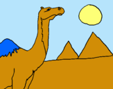 Dibujo Camello pintado por V-BLANCA