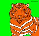 Dibujo Tigre pintado por brallan