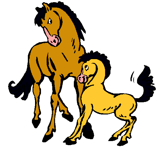 Caballos