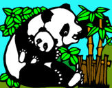 Dibujo Mama panda pintado por meilin