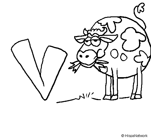 Vaca