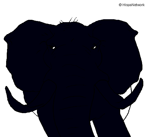 Elefante africano