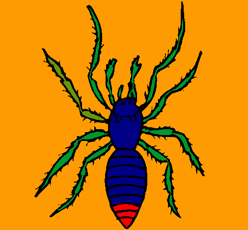 Araña tigre