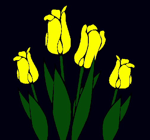 Tulipanes