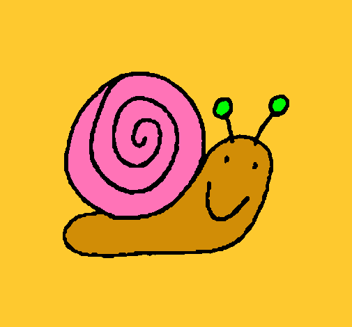 Caracol 4