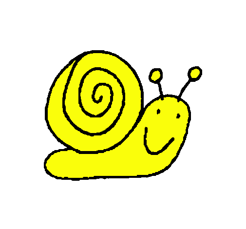 Caracol 4