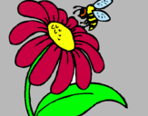 Dibujo Margarita con abeja pintado por hgsdgcgxvnbv