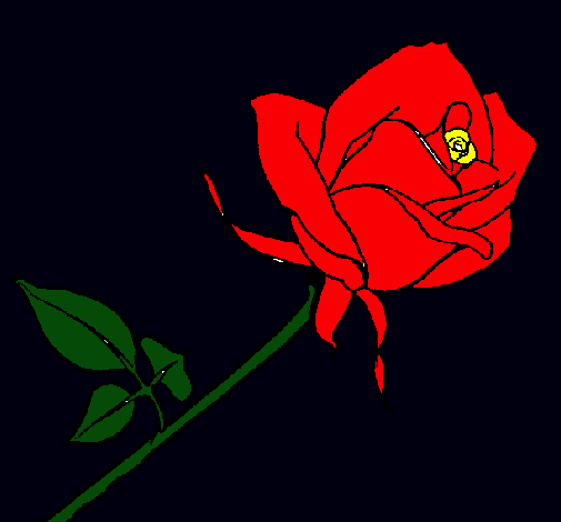 Rosa