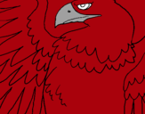 Dibujo Águila Imperial Romana pintado por 46uf6