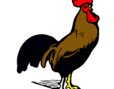 Dibujo Gallo gallardo pintado por gallo