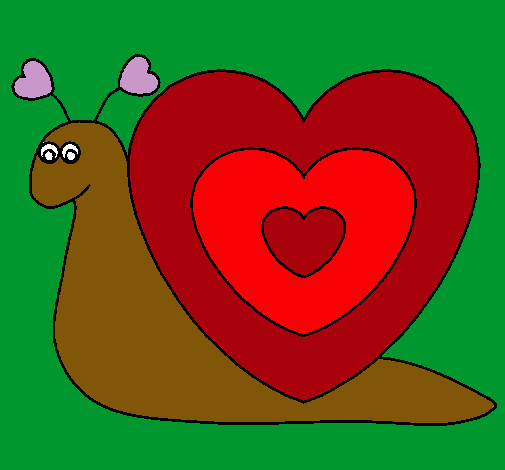 Caracol corazón