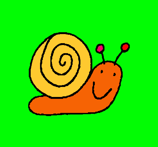 Caracol 4