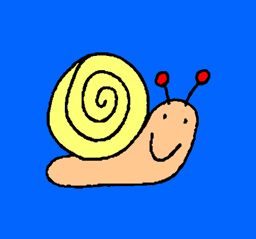 Caracol 4