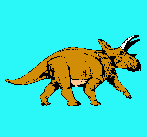 Triceratops