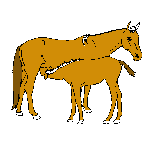 Caballos