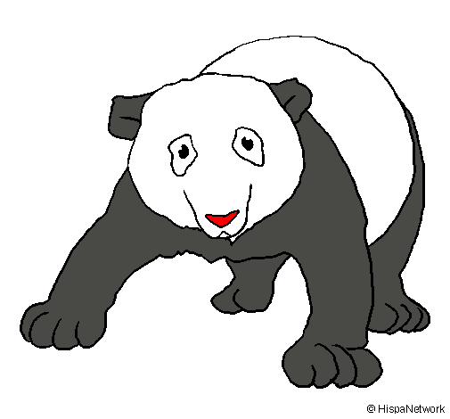 Oso panda