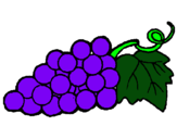 Dibujo racimo pintado por uvas