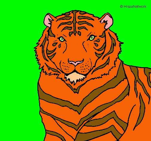 Dibujo Tigre pintado por carlospign