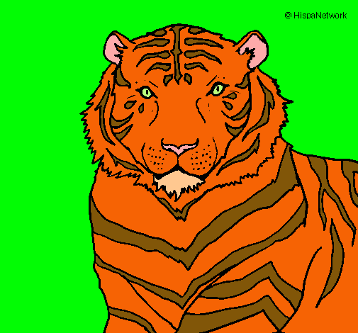 Tigre