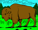 Dibujo Búfalo  pintado por pedruilo